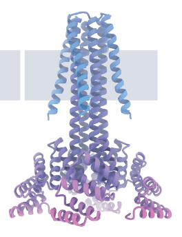 research-notes/images/yangPresentFutureNovo2026/image-3-x335-y552.png