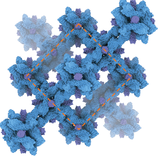 research-notes/images/yangPresentFutureNovo2026/image-3-x393-y210.png