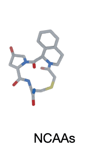 research-notes/images/yangPresentFutureNovo2026/image-3-x499-y562.png