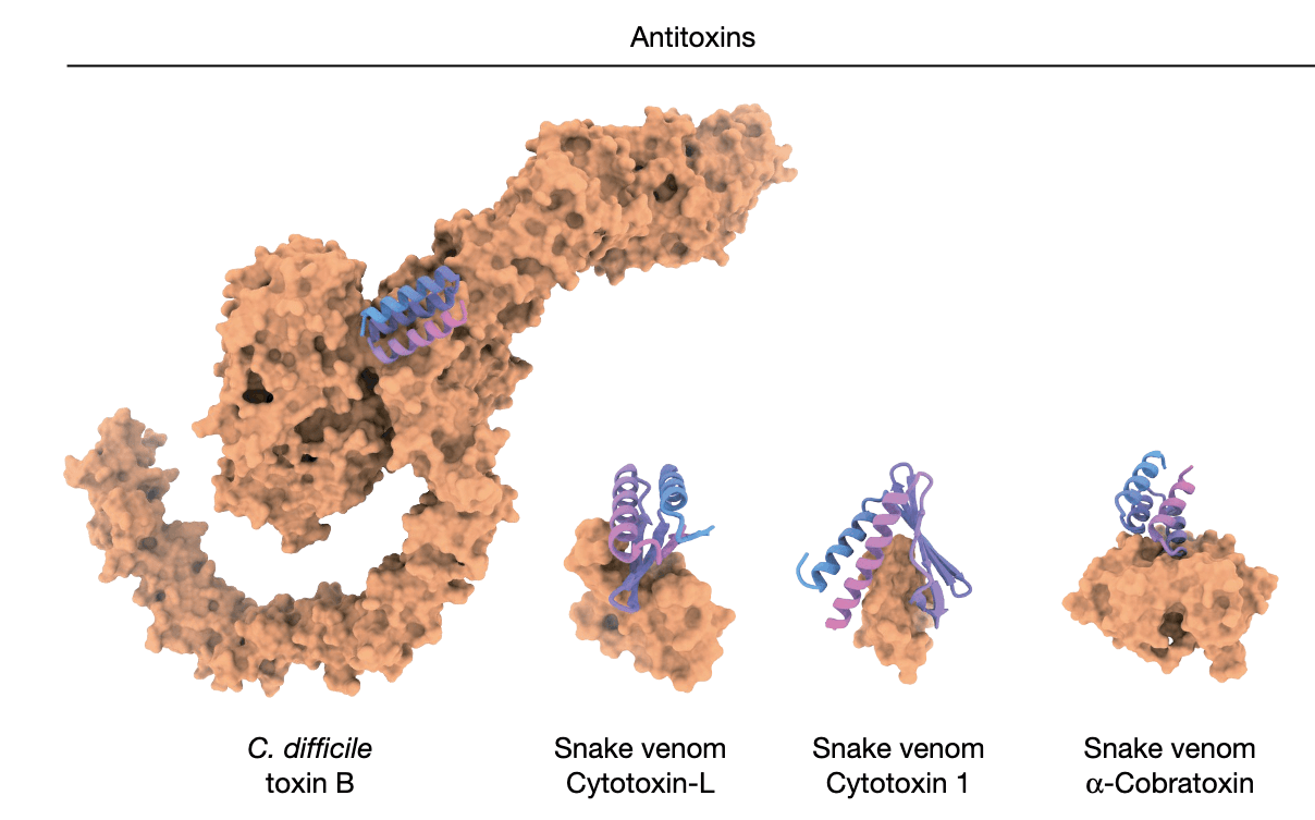 research-notes/images/yangPresentFutureNovo2026/image-4-x254-y444.png