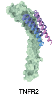 research-notes/images/yangPresentFutureNovo2026/image-4-x504-y321.png