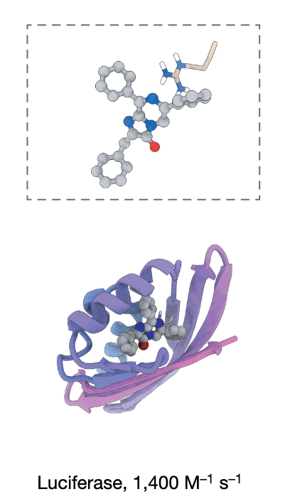 research-notes/images/yangPresentFutureNovo2026/image-5-x143-y178.png