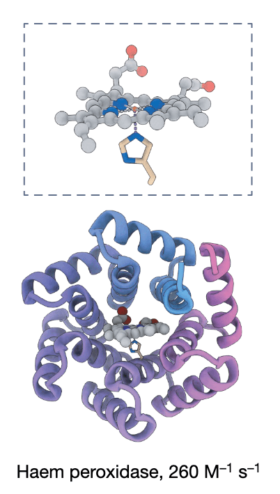 research-notes/images/yangPresentFutureNovo2026/image-5-x465-y178.png
