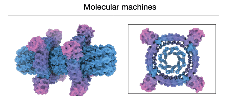 research-notes/images/yangPresentFutureNovo2026/image-6-x293-y561.png