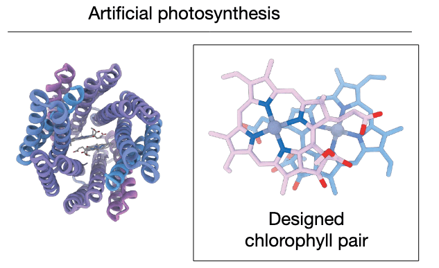 research-notes/images/yangPresentFutureNovo2026/image-6-x319-y208.png
