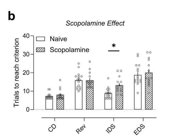 research-notes/images/nielloOptimizingCognitiveEnhancement2026/image-9-x163-y624.png